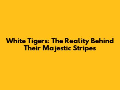 White Tigers: The Reality Behind Their Majestic Stripes